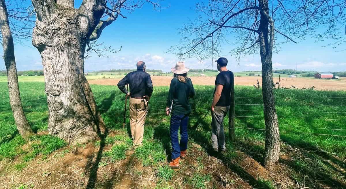 three people standing between bare trees on green and brown grass looking into the distance